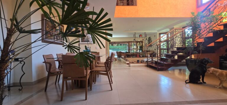 6c82316f-0c08-479c-b0d7-b76ca6647126