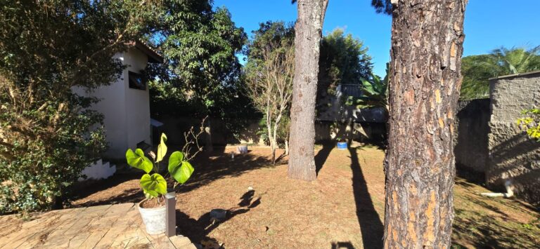 413b7876-4bf3-438a-b46c-08d932f8ce27