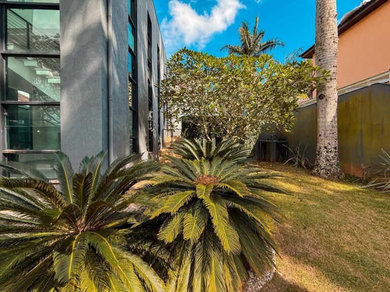 WhatsApp Image 2026-04-07 at 18.05.27