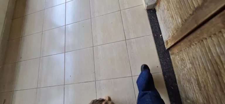 casa_Nova Higienópolis_11_2024 (13)