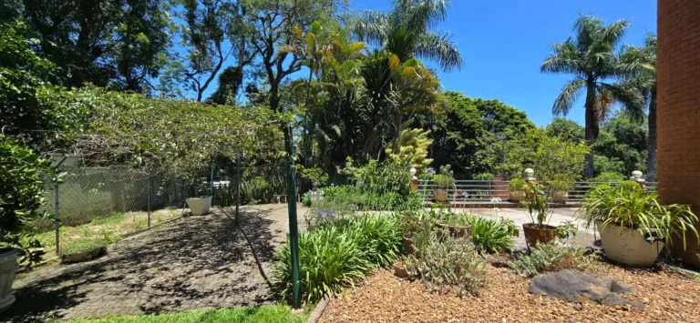 imv20-passargada (7)