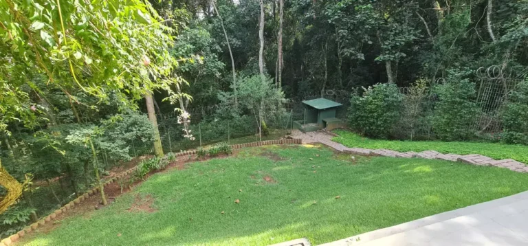 imv36_chac_moinhovelho (15)