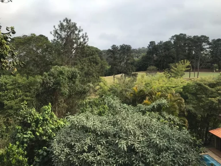 imv51-Nova Higienópolis (33)