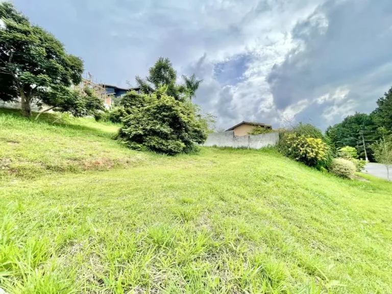 imv_67_vlg_LosAngeles (10)