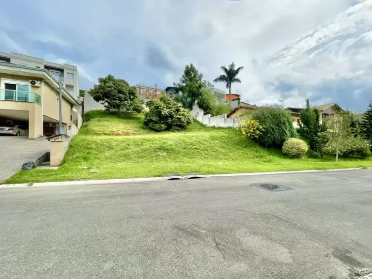 imv_67_vlg_LosAngeles (6)