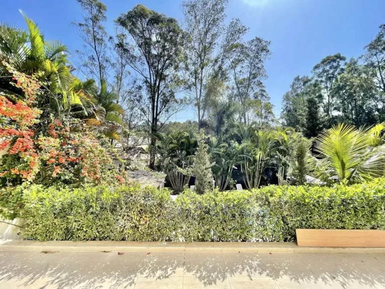 imv-109-novaHig (39)