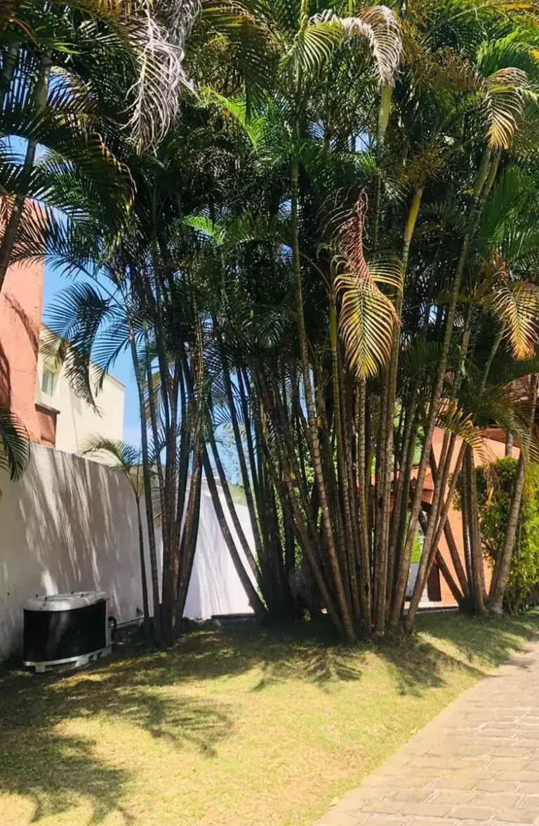 imv_102_villa_bianca (28)