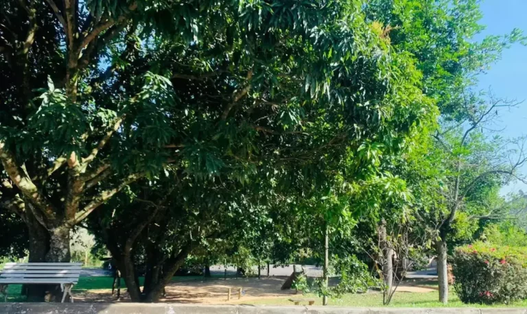 imv_102_villa_bianca (31)