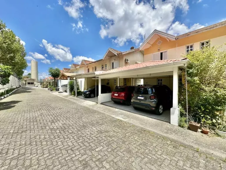 imv_96_vl_di_lucca (1)