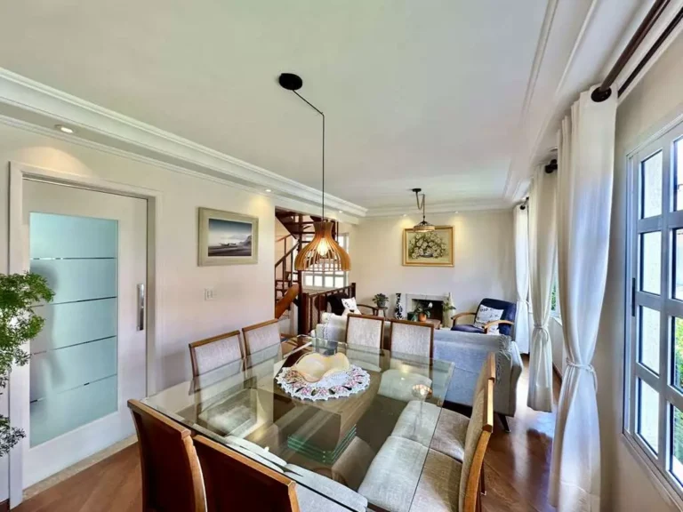 imv_96_vl_di_lucca (11)