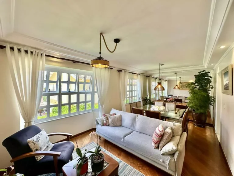 imv_96_vl_di_lucca (14)