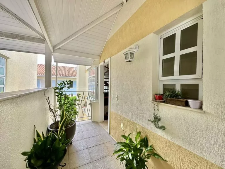 imv_96_vl_di_lucca (4)