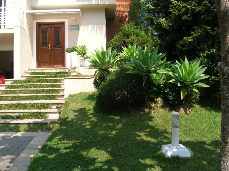 WhatsApp Image 2025-06-07 at 11.14.41 (3)