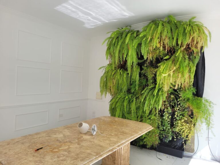 WhatsApp Image 2025-06-07 at 11.20.13 (2)