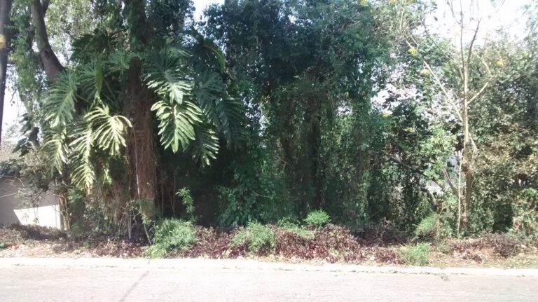 WhatsApp Image 2025-06-20 at 11.42.04 (1)