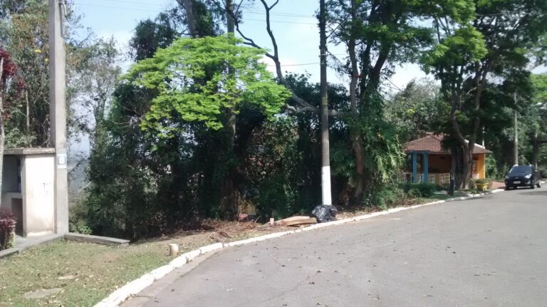 WhatsApp Image 2025-06-20 at 11.42.04