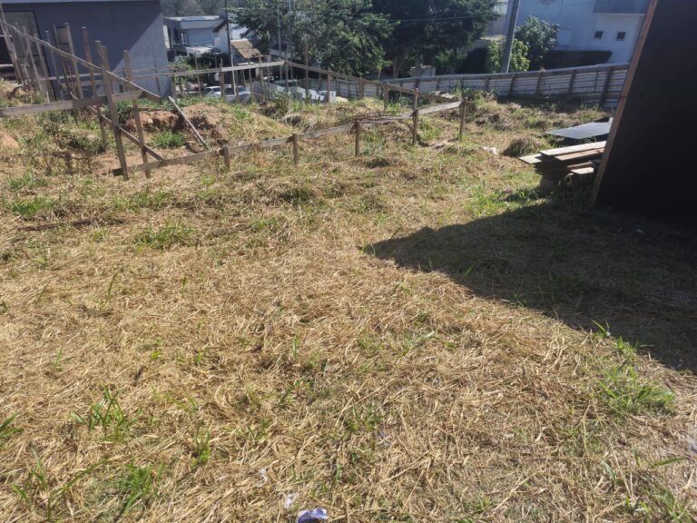 WhatsApp Image 2025-06-20 at 13.00.36 (1)