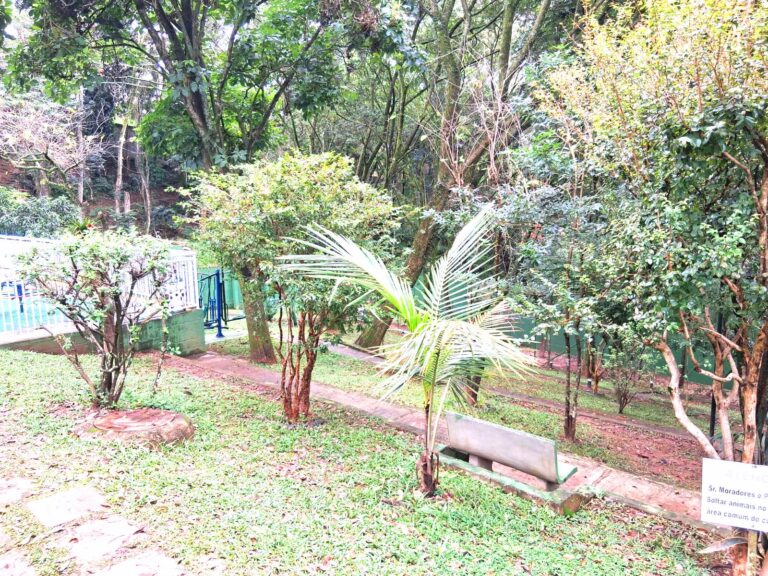 WhatsApp Image 2025-08-11 at 12.21.36