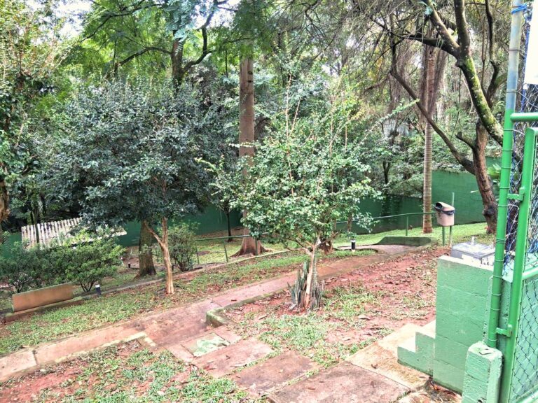 WhatsApp Image 2025-08-11 at 12.21.37 (2)