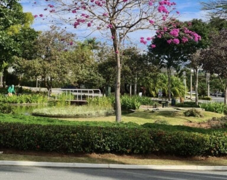 WhatsApp Image 2025-08-11 at 15.25.31 (2)