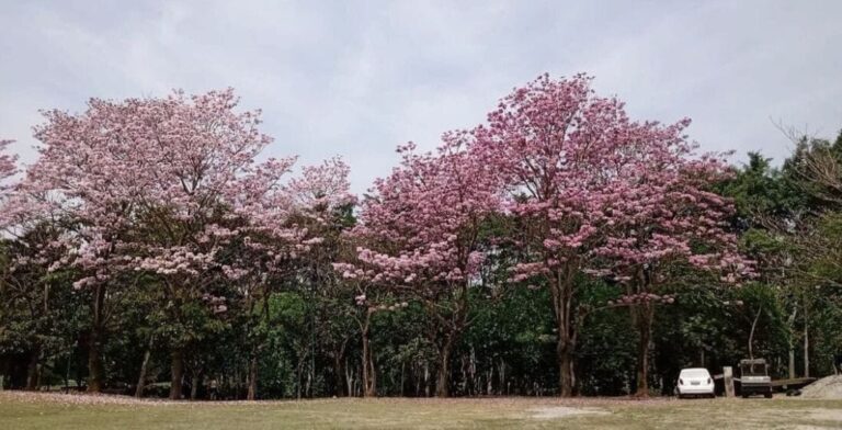 WhatsApp Image 2025-08-11 at 15.25.31 (3)