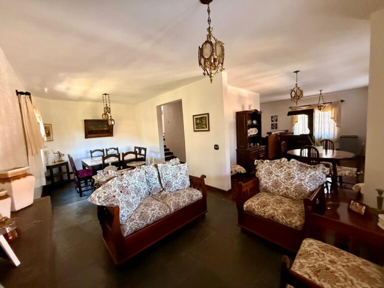 WhatsApp Image 2025-08-13 at 18.59.40