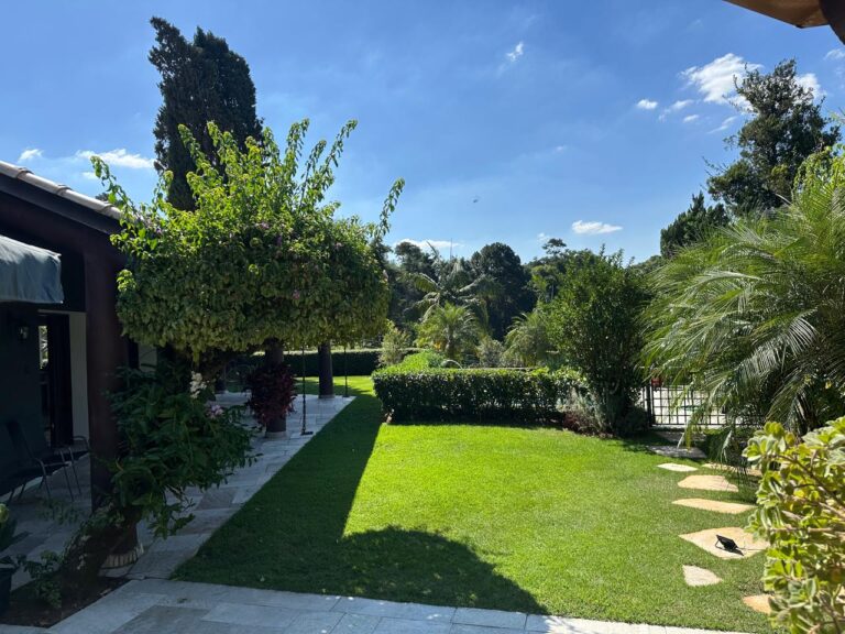 WhatsApp Image 2025-08-20 at 15.19.07