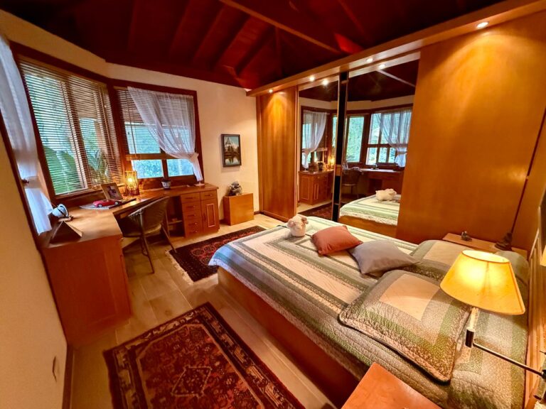 WhatsApp Image 2025-08-20 at 15.19.14