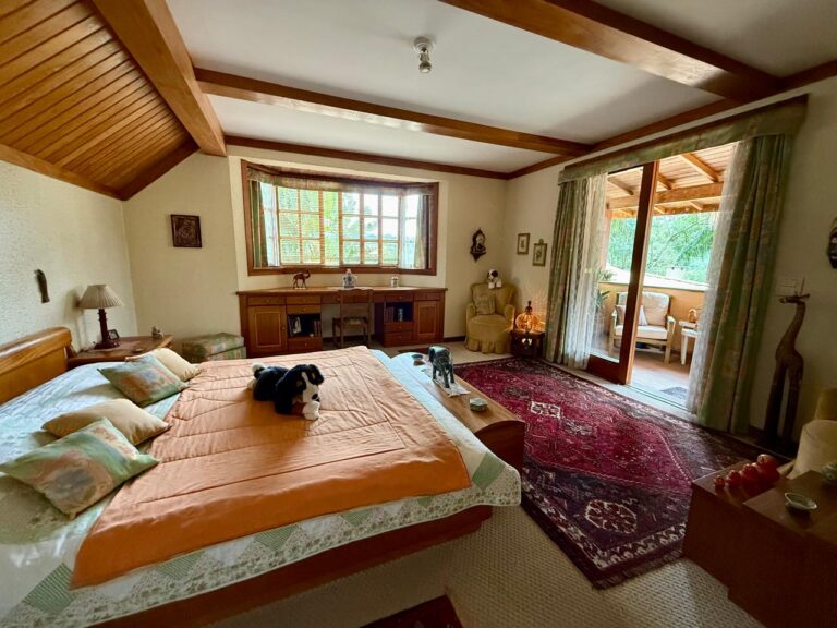 WhatsApp Image 2025-08-20 at 15.19.15 (2)