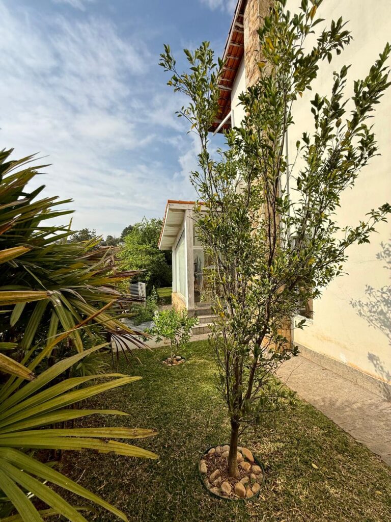 WhatsApp Image 2025-08-25 at 11.13.01 (1)