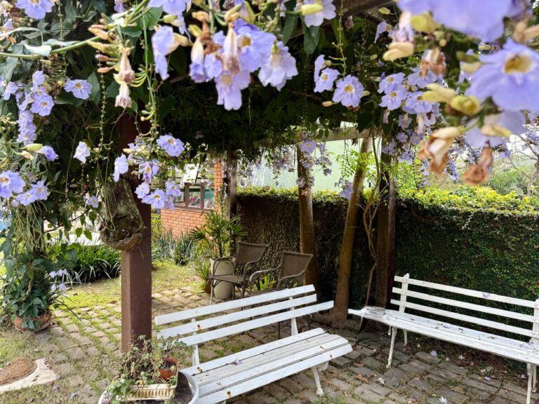 WhatsApp Image 2025-08-28 at 17.14.55 (1)