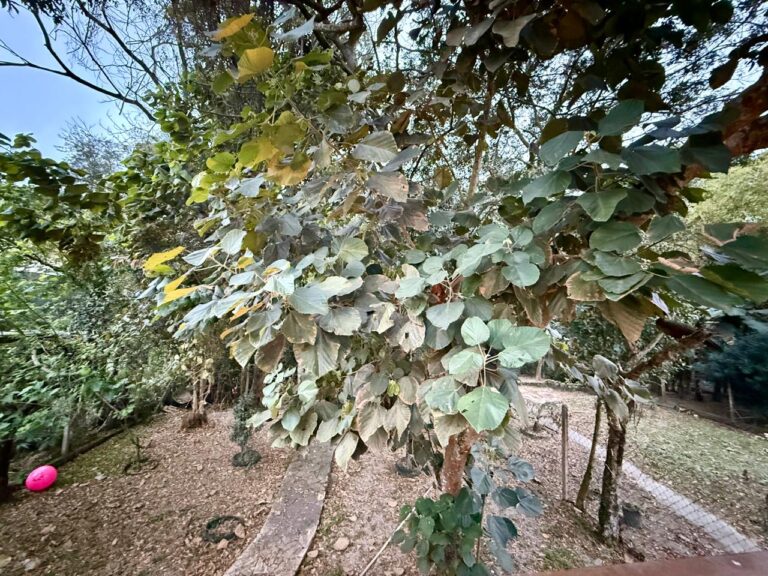 WhatsApp Image 2025-09-01 at 10.23.30 (2)