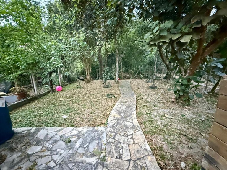 WhatsApp Image 2025-09-01 at 10.23.30 (3)