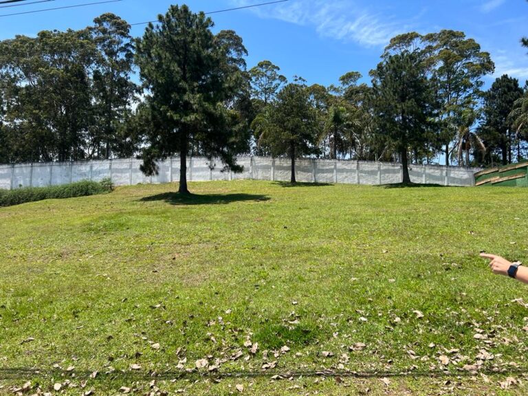 WhatsApp Image 2025-09-05 at 13.24.42