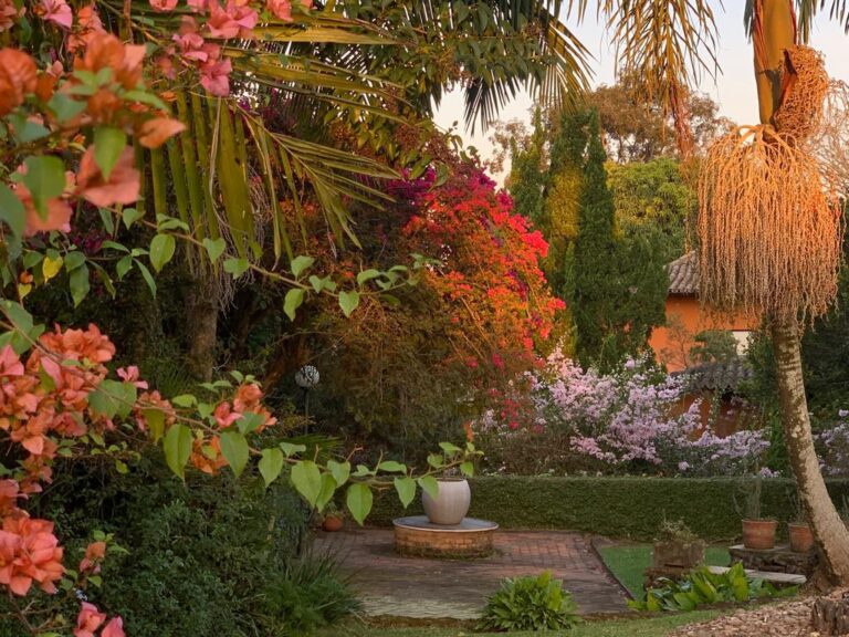 WhatsApp Image 2025-09-05 at 14.57.00 (1)