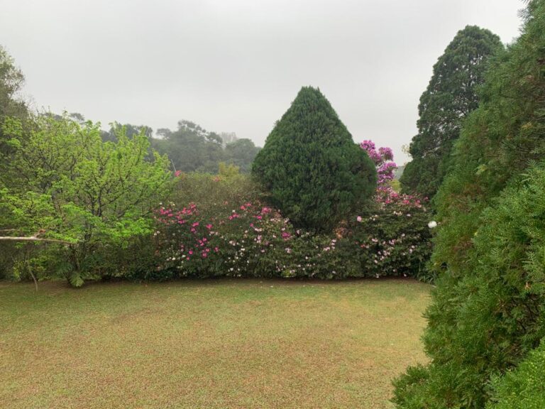 WhatsApp Image 2025-09-05 at 14.57.01