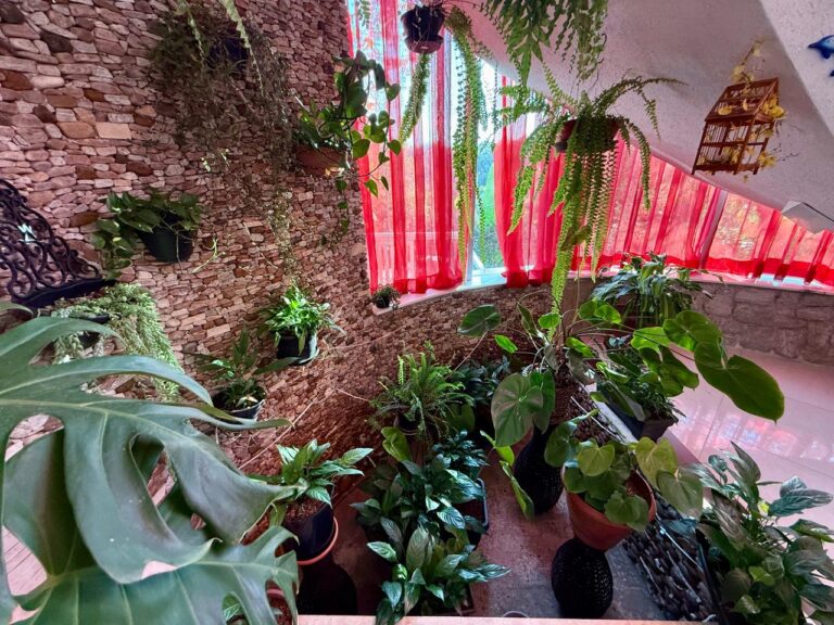 WhatsApp Image 2025-09-10 at 17.42.38