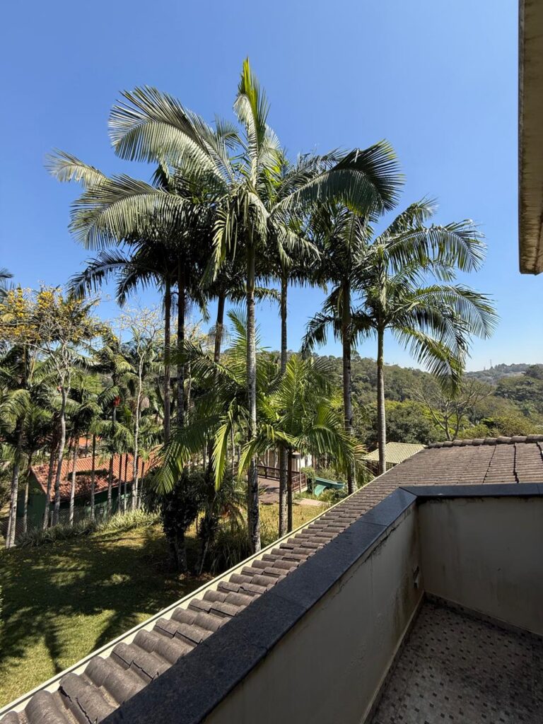 WhatsApp Image 2025-09-11 at 17.55.51