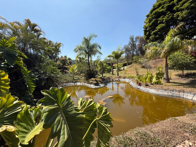 WhatsApp Image 2025-09-11 at 17.55.54