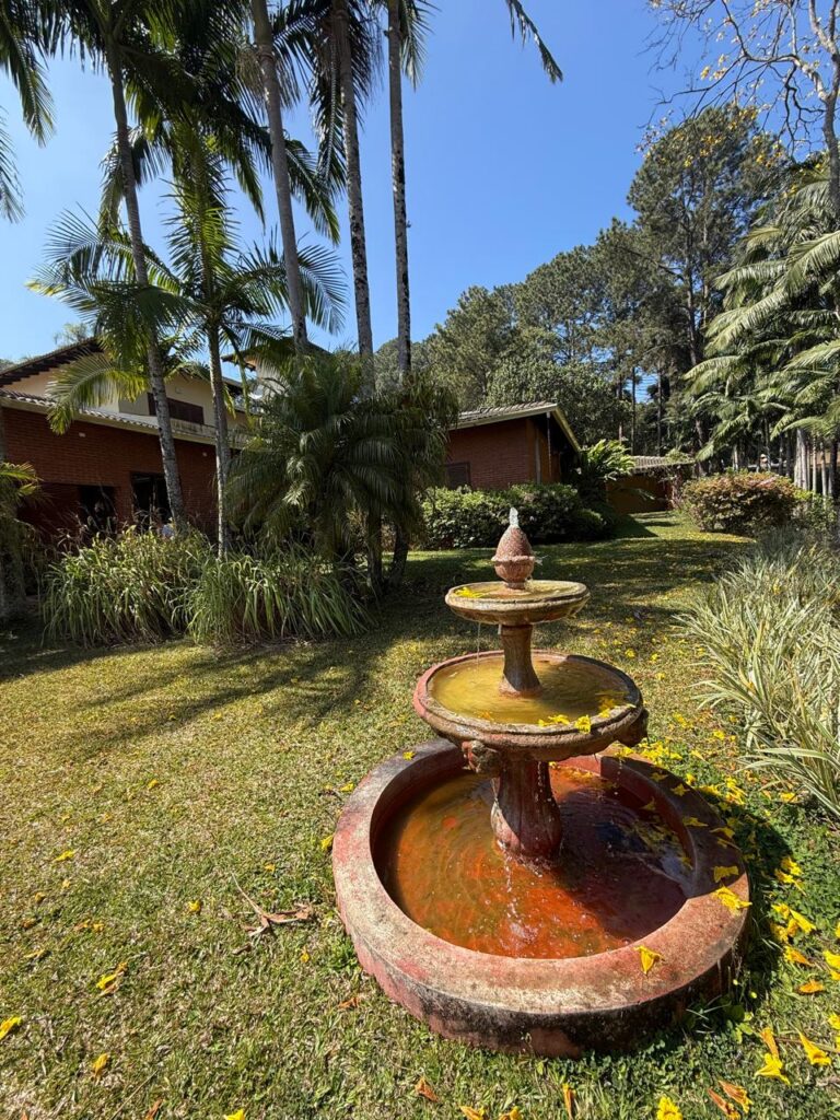 WhatsApp Image 2025-09-11 at 17.55.57