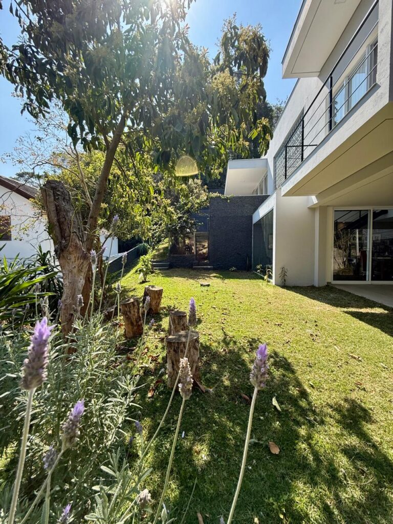 WhatsApp Image 2025-09-12 at 08.12.17