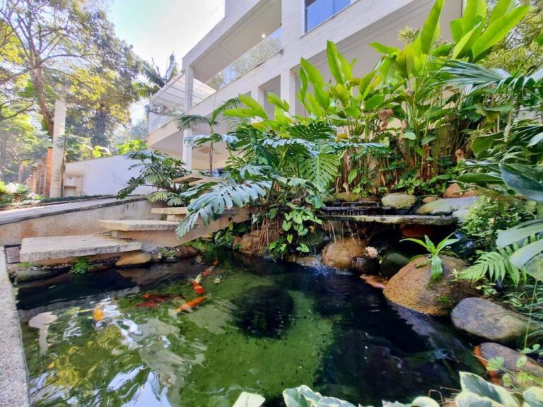 WhatsApp Image 2025-09-18 at 09.08.08