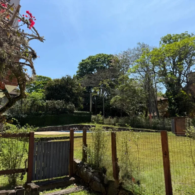 SaveClip.App_554213494_17997578036821936_439489005652303804_n