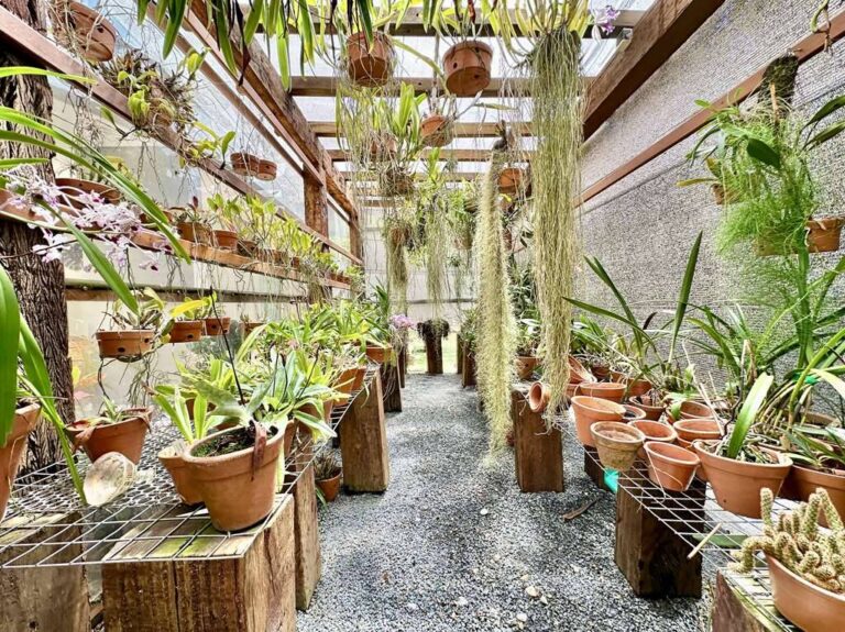 La photo 50.jpg a été réduite de 97.09 % le Sexta-feira 24 Outubro 2025 à 19:10 par Photo Réducteur v4.10 à télécharger sur http://www.emjysoft.com/