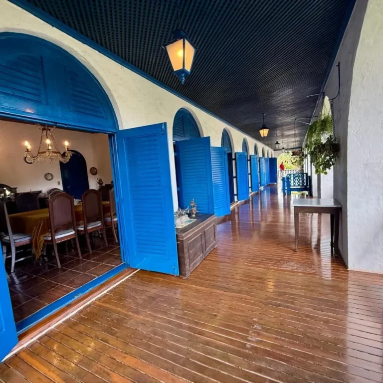 SaveClip.App_565027062_18002313809821936_7801797853038885744_n