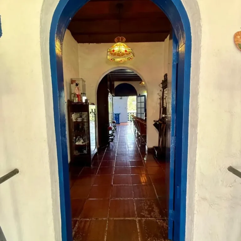 SaveClip.App_576093049_18002313743821936_1801372994907709931_n