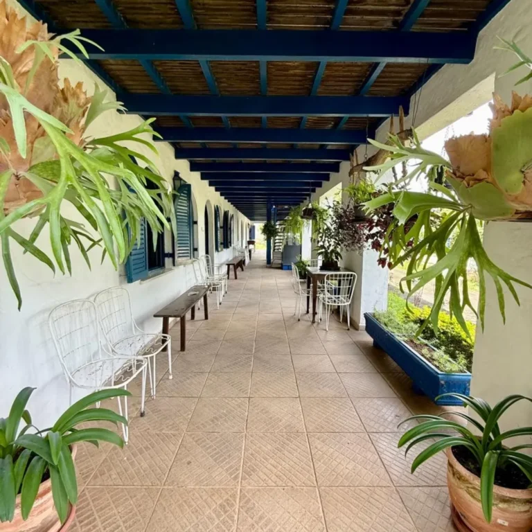 SaveClip.App_581272433_18002313839821936_7786477226662459730_n