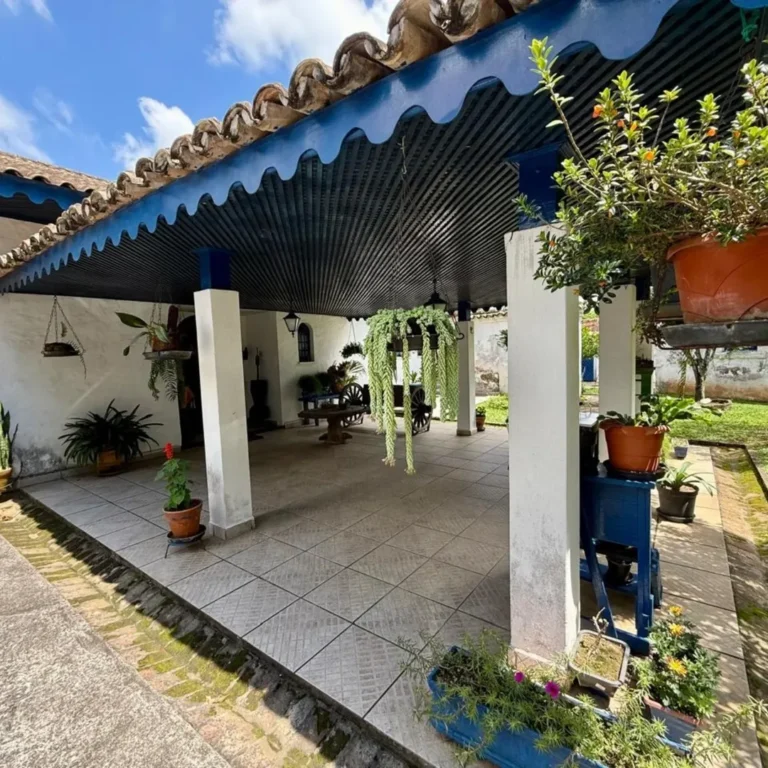 SaveClip.App_581680397_18002313827821936_6882813419340531866_n