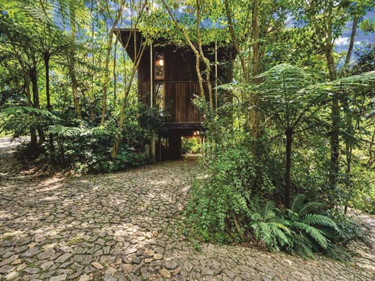 La photo 3.jpg a été réduite de 96.66 % le Quarta-feira 01 Abril 2026 à 09:04 par Photo Réducteur v4.10 à télécharger sur http://www.emjysoft.com/