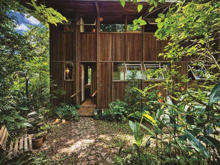 La photo 7.jpg a été réduite de 96.63 % le Quarta-feira 01 Abril 2026 à 09:04 par Photo Réducteur v4.10 à télécharger sur http://www.emjysoft.com/